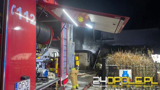 50 interwencji strażaków w noc sylwestrową. Jedna osoba nie żyje