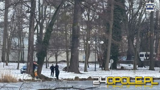 Niebezpieczna zabawa na zamarzniętym stawie - policyjna interwencja w Parku Renardów