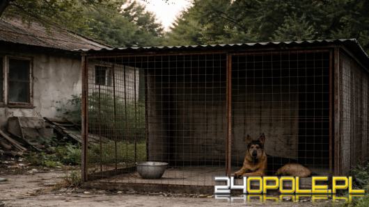 Pies przebywał w niewłaściwych warunkach podczas mrozu - interweniowali strzeleccy policjanci