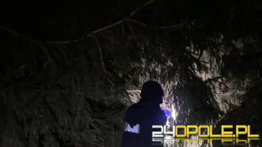 Tragiczny finał poszukiwań w Starym Grodkowie. Nie żyje 88-letnia kobieta