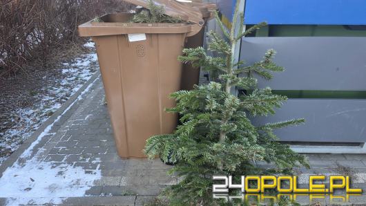 Co zrobić z choinką i o czym trzeba pamiętać