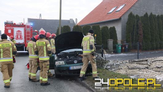 Seniorka wjechała w ogrodzenie w Polskiej Nowej Wsi. Skończyło się mandatem