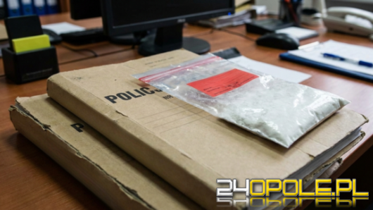 Interwencja przy hotelu w Opolu. Agresorowi grozi kara do trzech lat więzienia