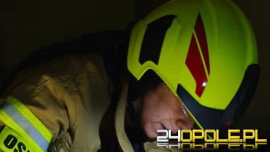 W pożarze w Bierawie strażacy uratowali psa. Bo każde życie się liczy