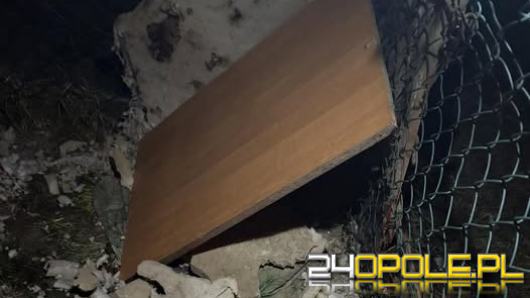 Spała na lodzie, nie miała gdzie się schować. TOZ Opole apeluje o pomoc dla Sisi WIDEO