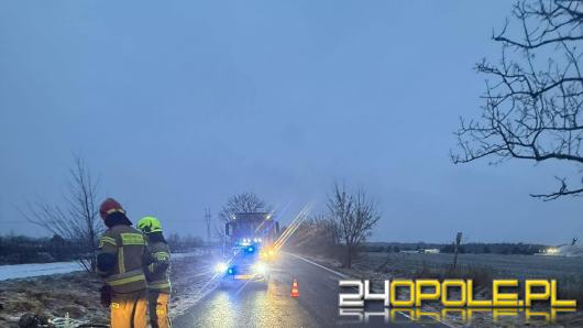 Rowerzystka potrącona na drodze między Bielicami a Malerzowicami Wielkimi