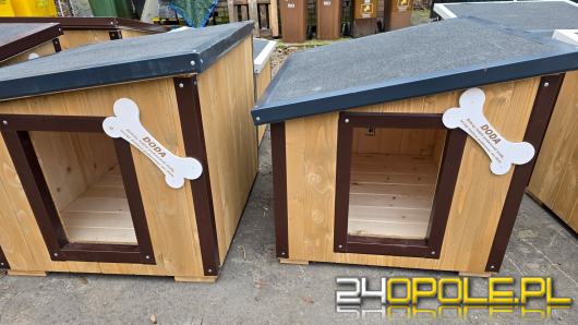 Ogólnopolska akcja Dody dotarła do Opola