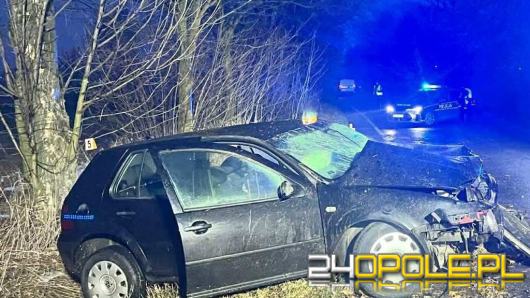Zdarzenie drogowe na trasie Byczyna - Polanowice. Dwie osoby nietrzeźwe w aucie
