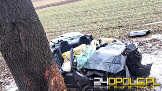 Śmiertelny wypadek na DW487 w Nowej Wsi