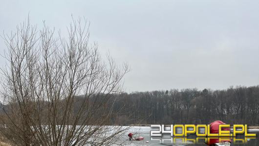 Grypa ptaków w gminie Niemodlin. HPAI potwierdzone u łabędzi