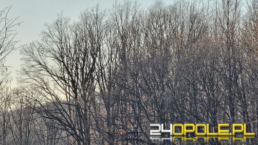 Zderzenie czeskiego pociągu z samochodem w Pokrzywnej