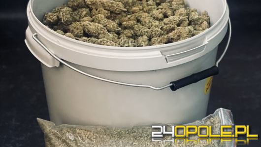 4 kg narkotyków zabezpieczone przez nyskich kryminalnych