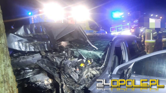 Auto uderzyło w drzewo na trasie Siemysłów - Starościn. Młody kierowca w szpitalu