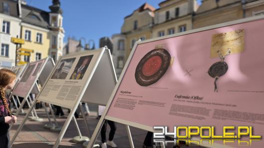 Wystawa "Opolanki" przypomina kobiety ważne dla historii miasta