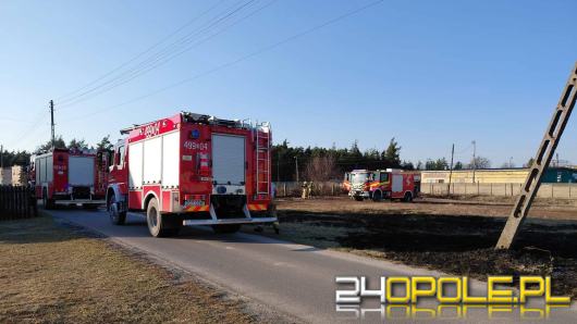 Pożar trawy w Kolonowskiem. Strażacy przypominają: wypalanie jest nielegalne