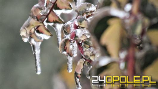 Nadchodzi zmiana pogody. Po wiosennym początku marca możliwy powrót zimy