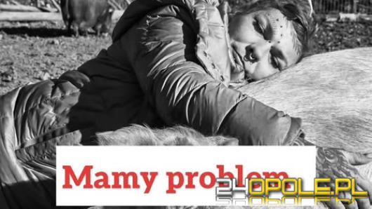 Ponad 150 świń i dziesiątki zbiórek. Pomoc czy sposób na zarobek? Fundacja po lupą