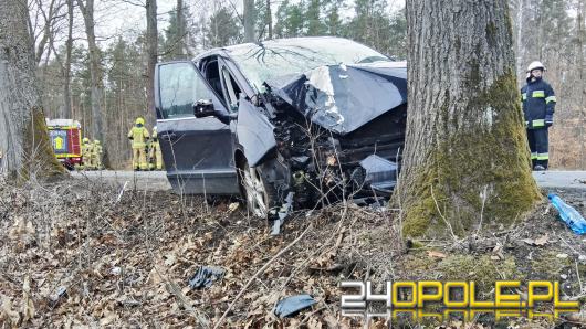 Samochód uderzył w drzewo na drodze Kup - Murów. Dziecko zabrał LPR