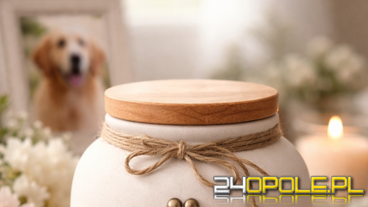 Opole planuje spopielarnię dla zwierząt. Trwają prace nad projektem