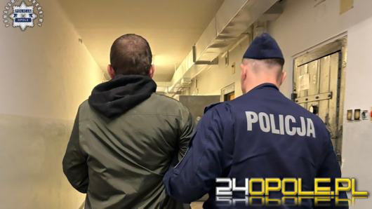 Pijany kierowca uderzył w drzewo. Dziecko w ciężkim stanie, sprawca trafił do aresztu