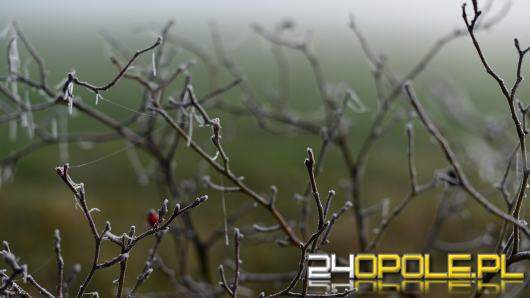 IMGW wydał ostrzeżenie dla Opolszczyzny