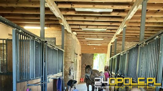 Pomagają zwierzętom i uczą dzieci blisko natury. Teraz sami proszą o wsparcie