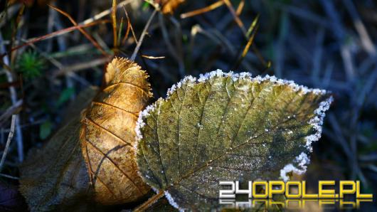 Przymrozki w części regionu. IMGW wydał ostrzeżenie dla trzech powiatów