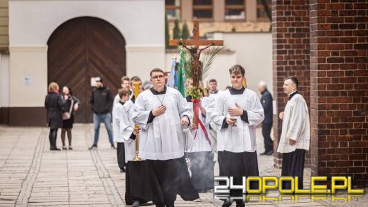 Niedziela Palmowa - symbolika i znaczenie w tradycji Kościoła