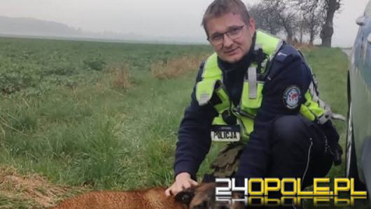 Policja prosi o pomoc w odnalezieniu właściciela