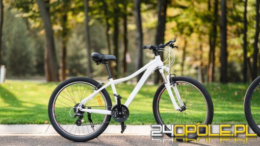 Od pierwszego kilometra do górskiego szczytu - aktywny dzień w terenie