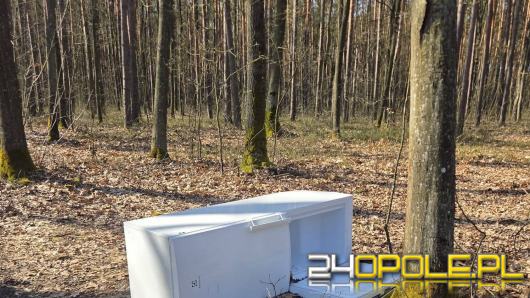 Las to nie składowisko AGD. Lodówka porzucona przy drodze