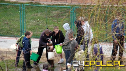 Śmigus-dyngus. Skąd się wziął i co naprawdę oznacza ten zwyczaj?