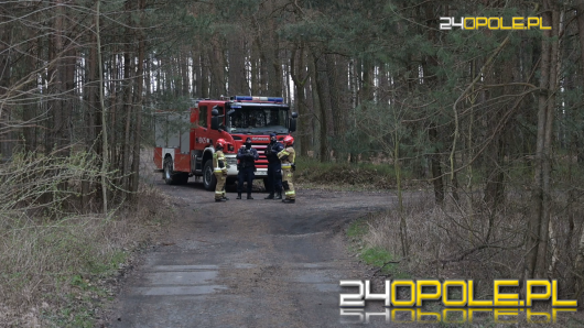 Dron odnaleziony w lesie pod Strzelcami Opolskimi. Sprawę bada Żandarmeria Wojskowa