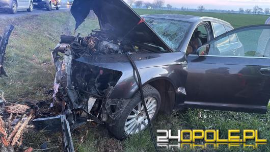 Poranne zdarzenie na DK 88. Samochód uderzył w drzewo, dwie osoby trafiły do szpitala