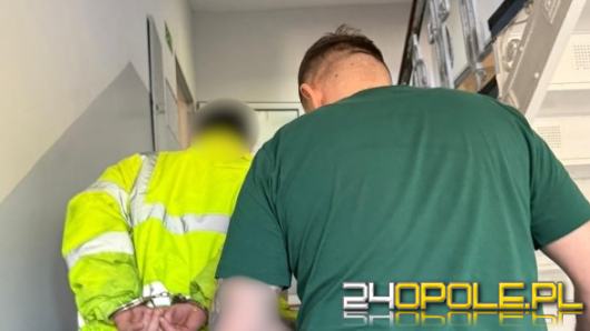 Kontrola drogowa zakończona zatrzymaniem