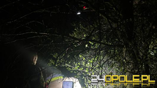 Kilkugodzinna akcja strażaków. Zwierzę utknęło pod ziemią