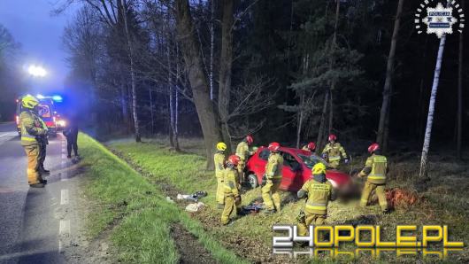 Dachowanie na trasie Zawadzkie-Wierchlesie. Szybka reakcja policjanta