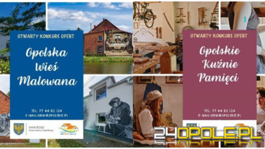 Miliony na murale i pamięć regionu. Zarząd województwa rozdzielił środki