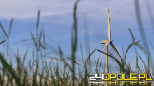 Zielona energia jako element nowoczesnego biznesu