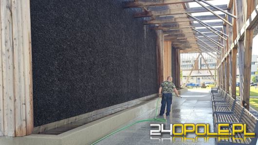 Tężnia zamknięta przed majówką. Trwa wymiana solanki