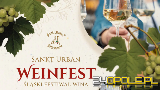 Weinfest wraca z drugą edycją. Śląski Festiwal Wina ponownie w Dobrzeniu Małym