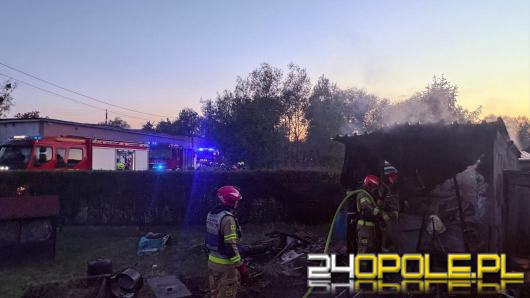 Pożar altany na terenie ogródków działkowych. Wcześniej doszło do eksplozji urządzenia