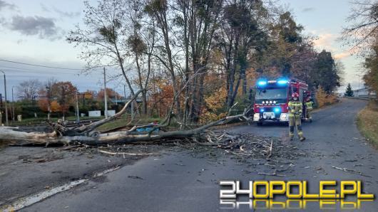 Burze nad Opolszczyzną. IMGW wydał ostrzeżenie dla wszystkich powiatów