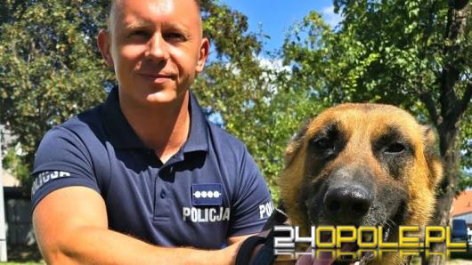 Policyjne psy rywalizowały w Krapkowicach. Wyłoniono reprezentantów Opolszczyzny