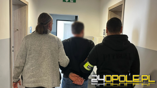33-latek z Opola z zarzutami znęcania się nad dziećmi i psem