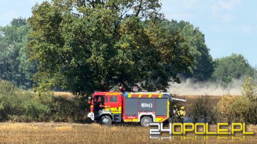Pożar zboża w Giełczycach. Spłonęło około 60 hektarów upraw