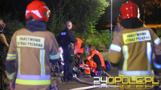 Nocny pożar na ulicy Dambonia. Interweniowały cztery zastępy straży