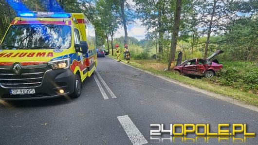Pijany kierowca wypadł z drogi i uderzył w drzewo