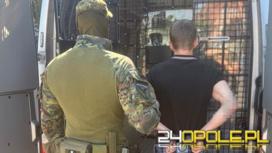 Ukrainiec propagował nazizm w Polsce - został deportowany