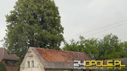 Samochód wypadł z drogi w Boguszycach. Utrudnienia na trasie Opole-Krapkowice